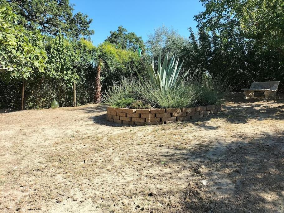 villa marcella casa vacanza Grottazzolina Esterno foto