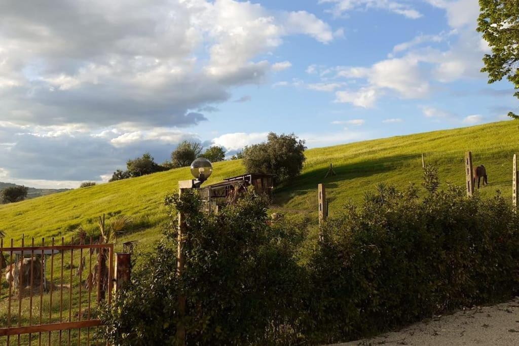 villa marcella casa vacanza Grottazzolina Esterno foto